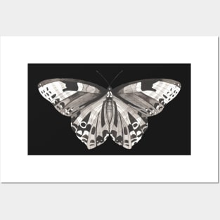 Butterfly, in black and white Posters and Art